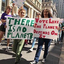 Climate Strike, NY